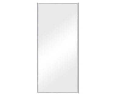 Зеркало Evoform Definite BY 1109 66x146 см сталь