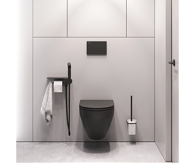 Комплект для туалетной комнаты Am.Pm Spirit V2.0 CK70H1103B, черный
